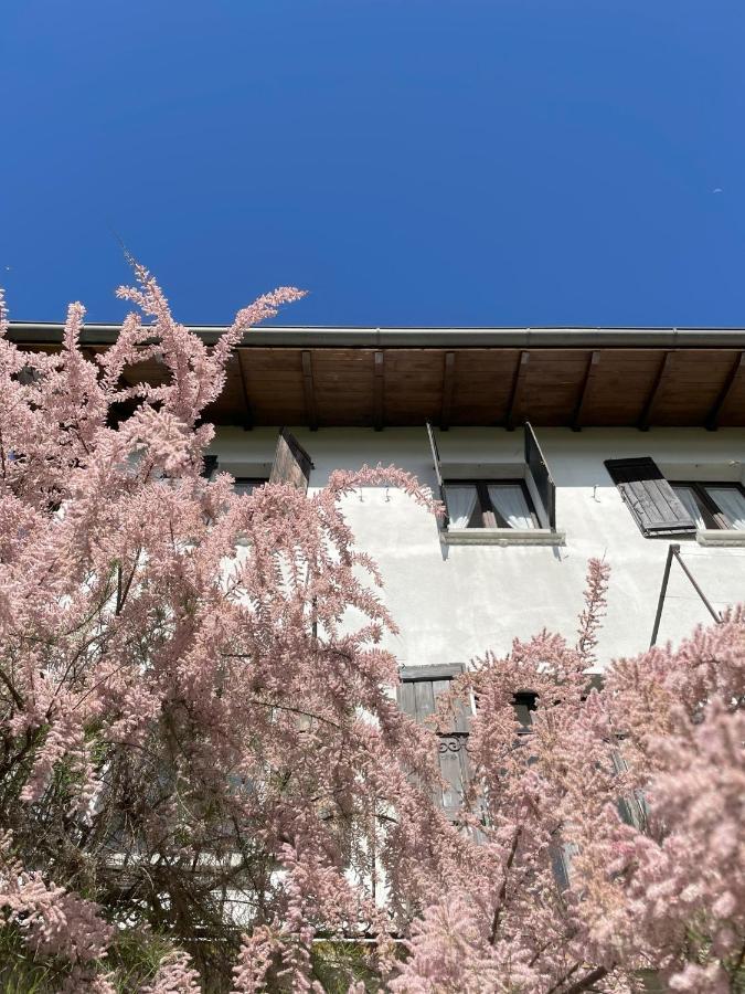 Terrazza Sul Lago Ameno Екстер'єр фото